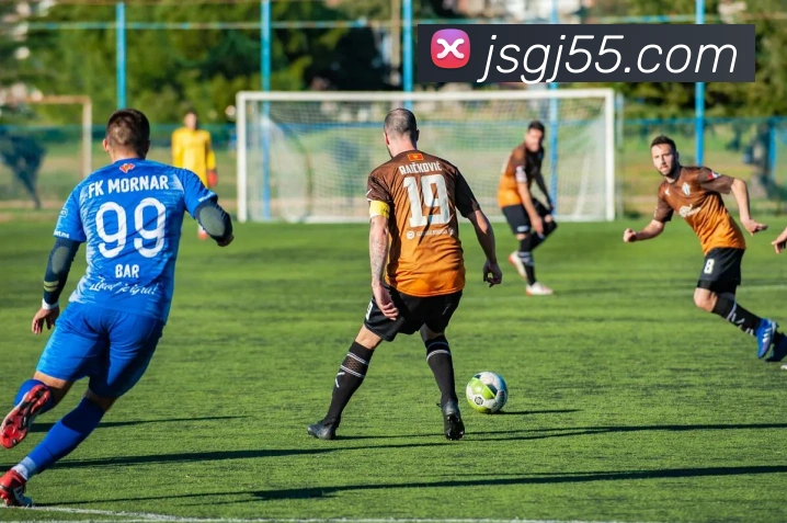 数据分析功能